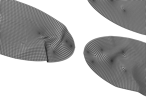 Ellipse Sticker Mockup Set 3D Model