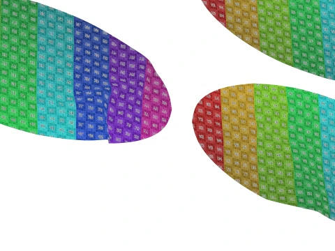Ellipse Sticker Mockup Set 3D Model