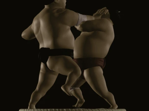Sumo wrestler 3D printmodel