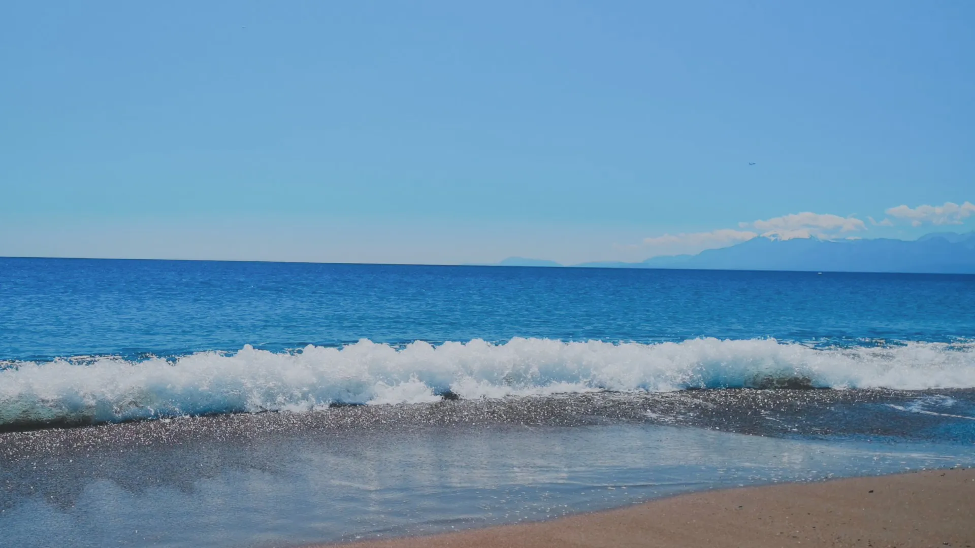 Tropical Ocean Beach Environment Realistic Sea Shoreline 3D Model .c4d .max .obj .3ds .fbx .stl .blend