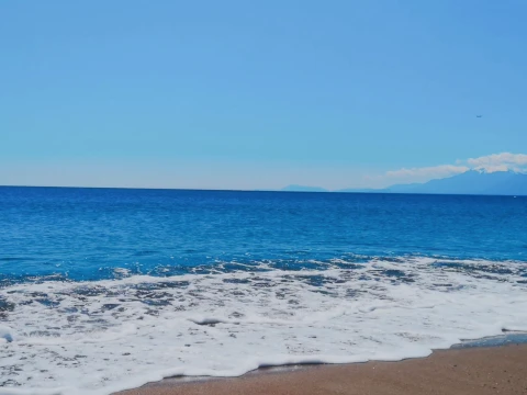 Tropical Ocean Beach Environment Realistic Sea Shoreline 3D Model