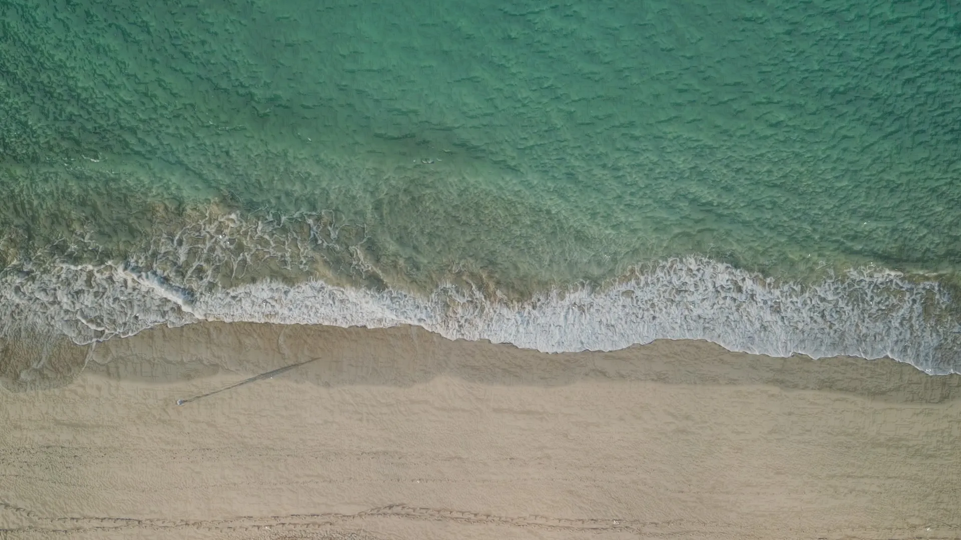 Beach Ocean Shoreline 3D Model .c4d .max .obj .3ds .fbx .stl .blend 