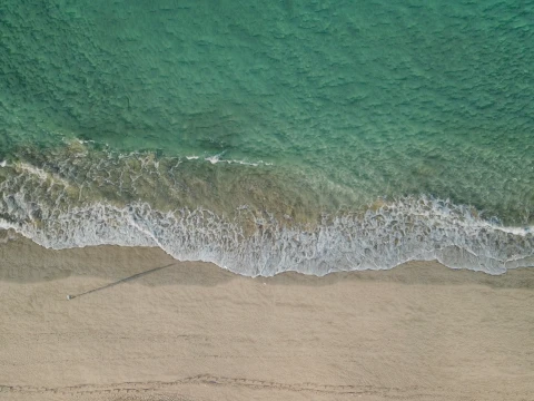 Beach Ocean Shoreline 3D Model