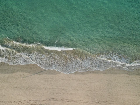 Beach Ocean Shoreline 3D Model
