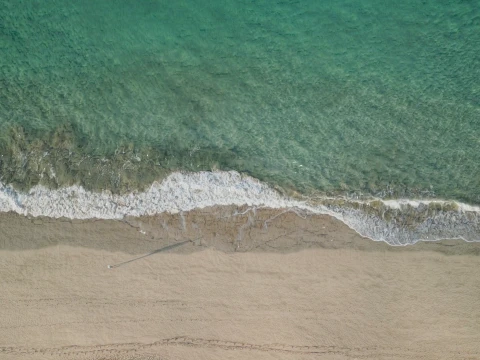 Beach Ocean Shoreline 3D Model