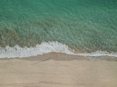Beach Ocean Shoreline 3D Model