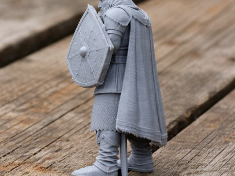 Boudewijn IV Ridder 3D Model