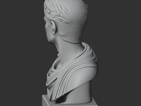 Augustus Bust 3D Model