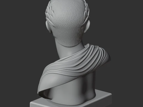 Augustus Bust 3D Model