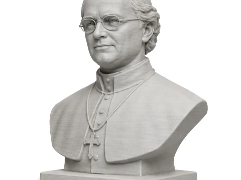 Gregor Mendel Bust Modèle 3D