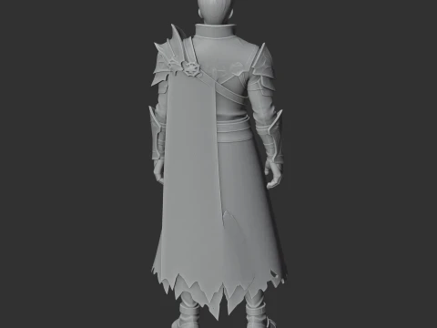 Adventurer - Lost Ark 3D Model
