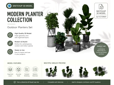 Modern Indoor Potted Plant Collection with Decorative Planters 3D Model