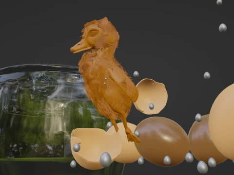 Births 3D Model