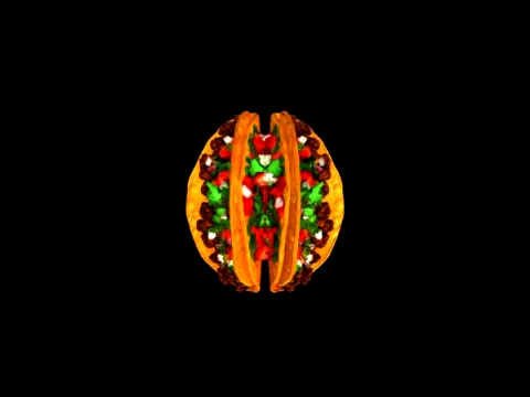 Tacos 3D Model