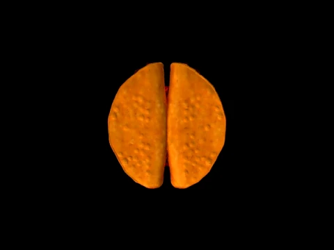 Tacos 3D Model