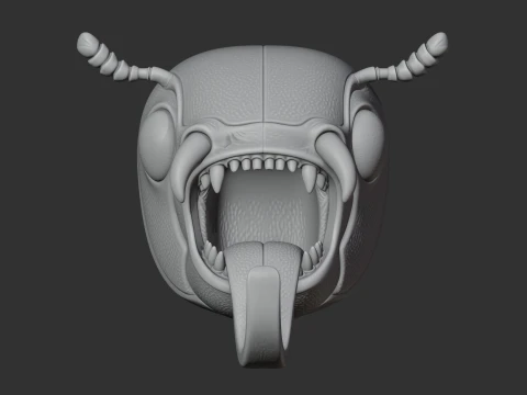Beetle 3D Model
