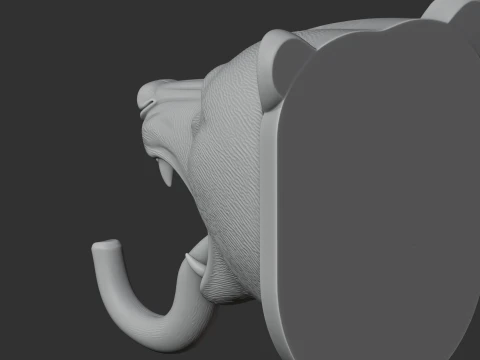 Black bear 3D Model