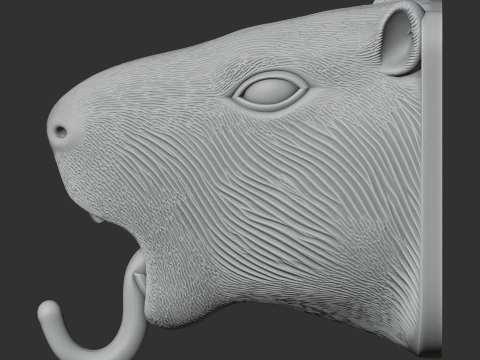Capybara 3D Model