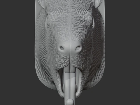 Capybara 3D Model