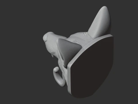 Coyote 3D Model