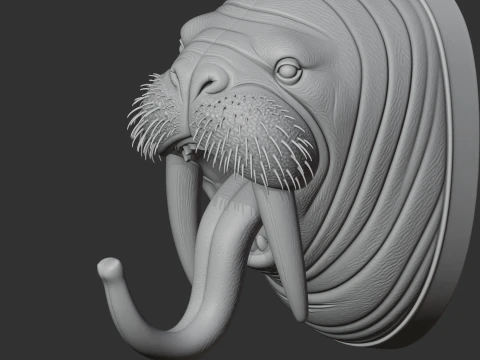 Walrus HEAD WALL HANGER COAT AND KEY HOLDER HOOK 3D Model