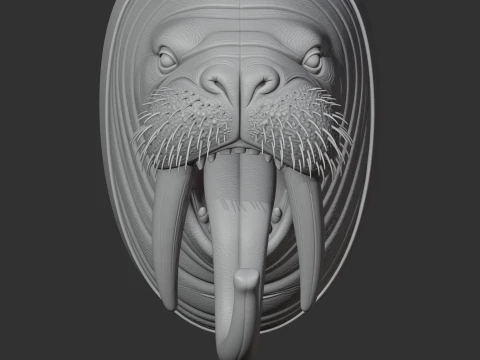 Walrus HEAD WALL HANGER COAT AND KEY HOLDER HOOK 3D Model