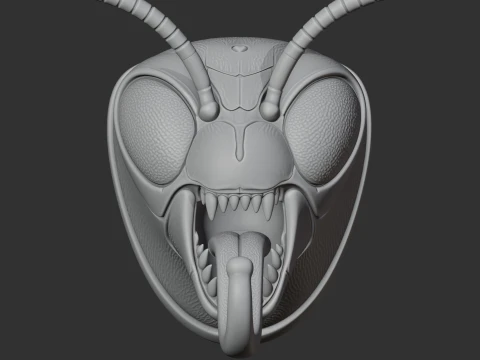 Wasp HEAD WALL HANGER COAT AND KEY HOLDER HOOK 3D Model