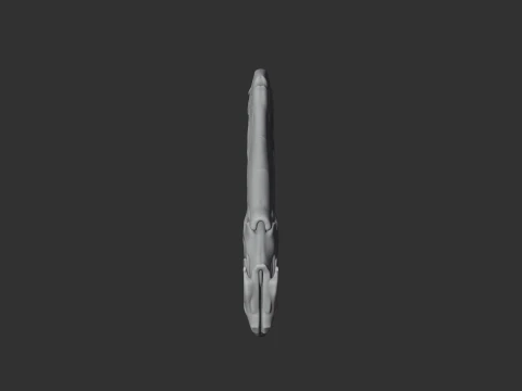 Anhanguera Skull 3D Model