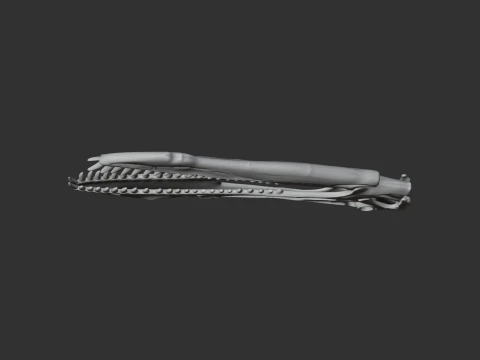 Anhanguera Skull 3D Model