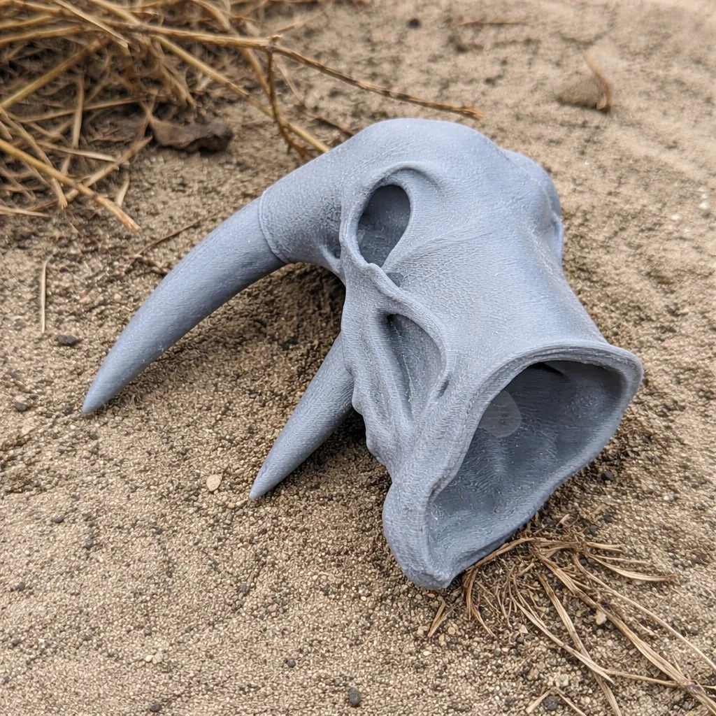 Atlantic Walrus Skull 3D Model .c4d .max .obj .3ds .fbx .stl .blend