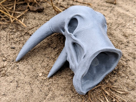 Череп атлантичного моржа 3D Модель