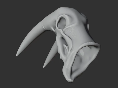Atlantic Walrus Skull 3D Model