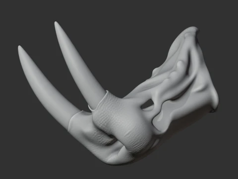 Atlantic Walrus Skull 3D Model