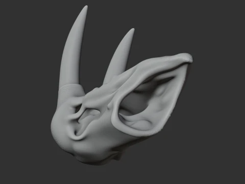 Atlantic Walrus Skull 3D Model