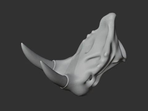 Atlantic Walrus Skull 3D Model