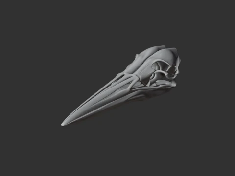 American Bittern Skull 3D Model
