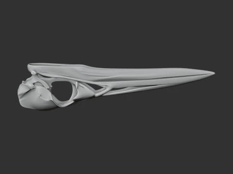 American Bittern Skull 3D Model