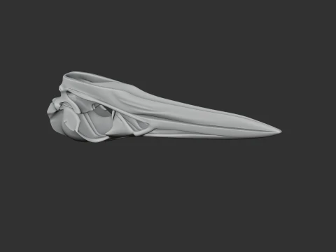 American Bittern Skull 3D Model