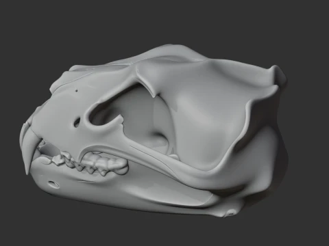 Barbary Lion Skull 3D Model