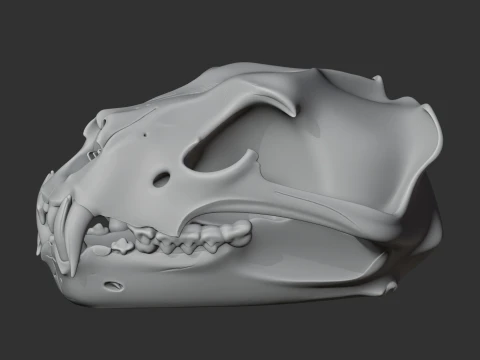 Barbary Lion Skull 3D Model