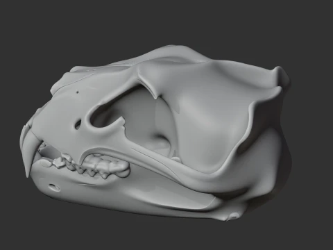 Barbary Lion Skull 3D Model