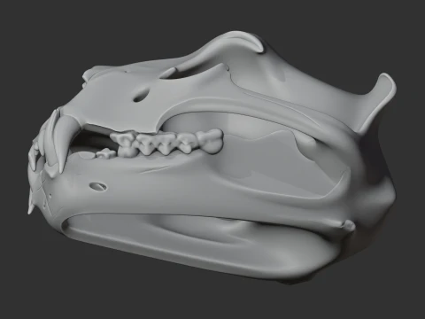 Barbary Lion Skull 3D Model