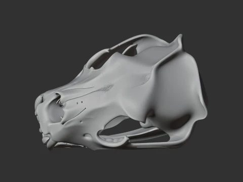 Barbary Lion Skull 3D Model