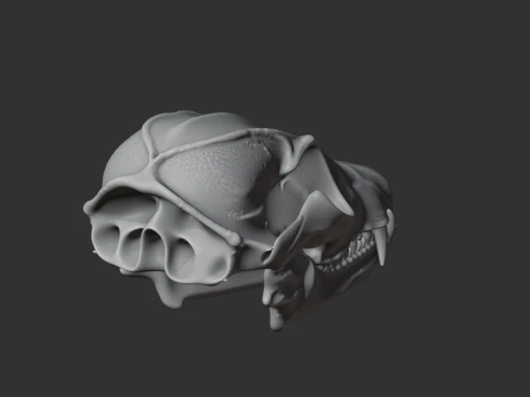 Bat-eared Fox Skull 3D Model