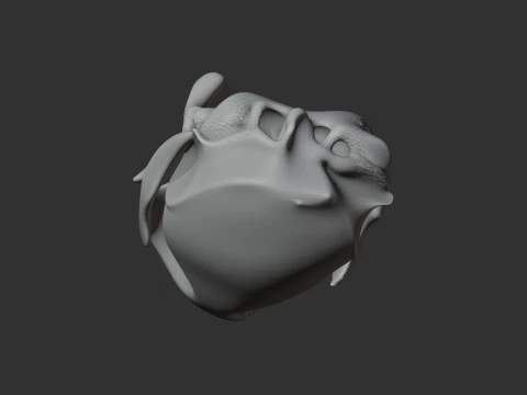 Bearded Seal Skull 3D Model