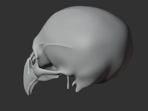 Birkenia Skull 3D Model