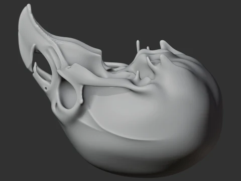 Birkenia Skull 3D Model