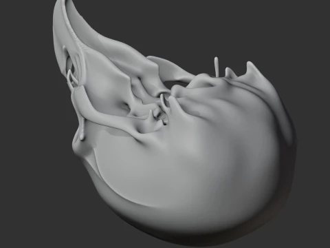 Birkenia Skull 3D Model