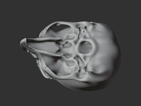 Birkenia Skull 3D Model