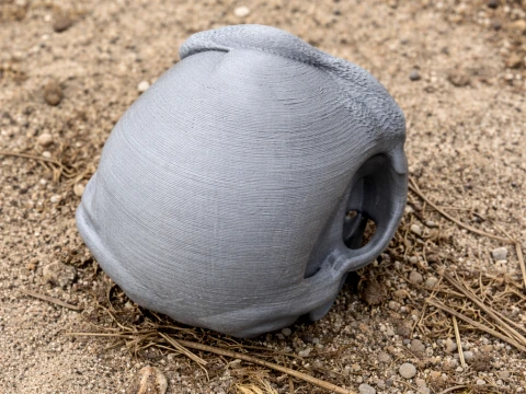 Bonobo-schedel 3D Model